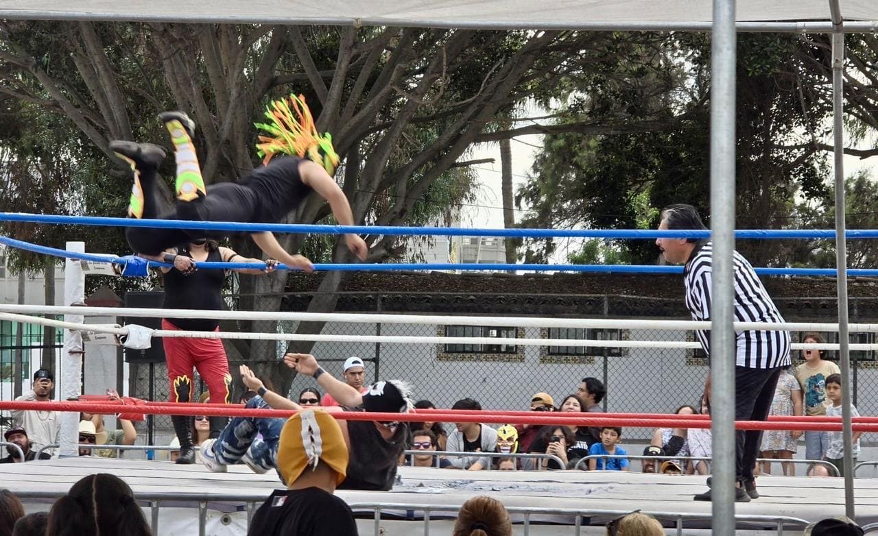 Realiza Gobierno de Ensenada 2da Edición de “La Lucha Libre Es Cultura”