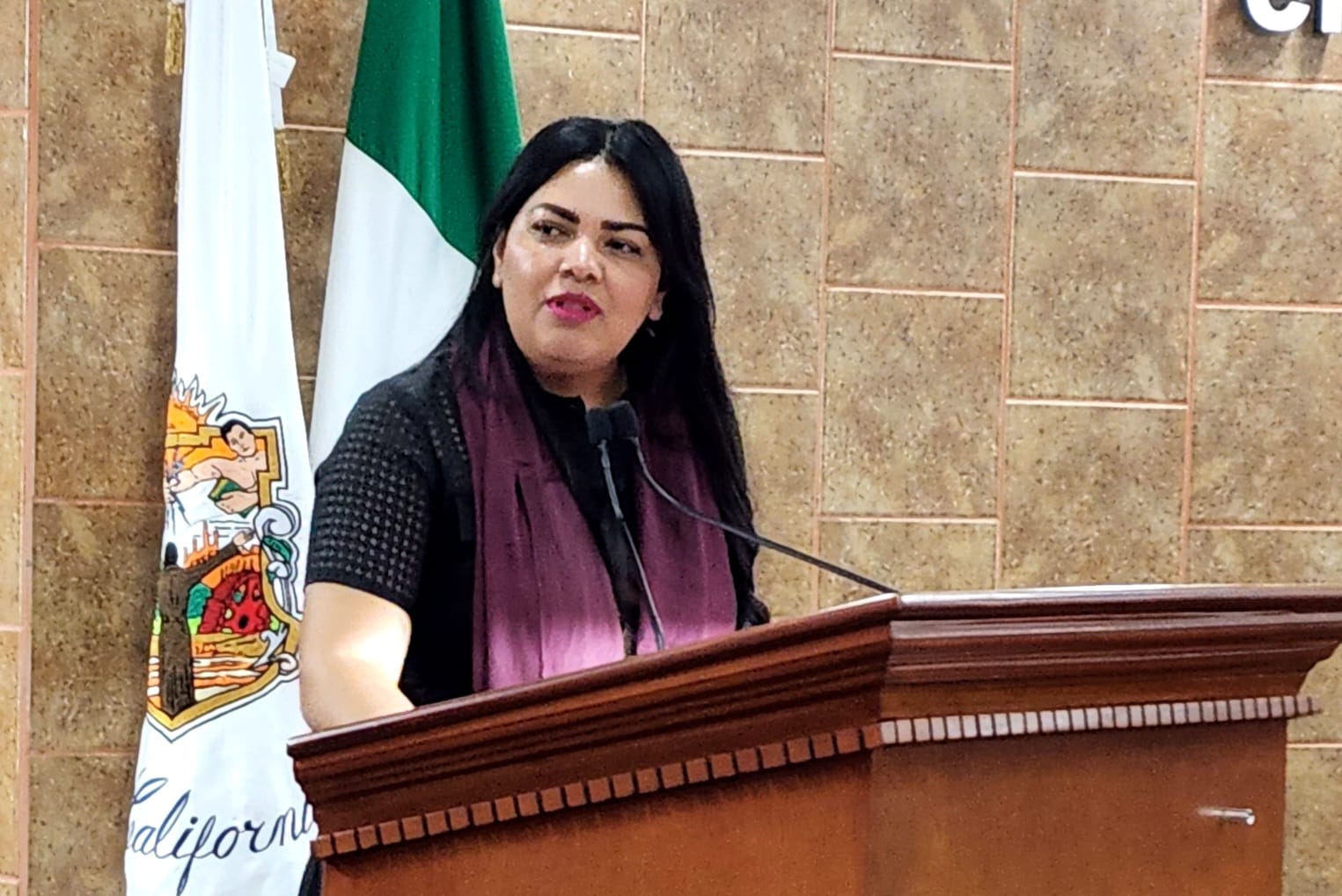 Diputada Montserrat Murillo presenta informe de la presidencia de la mesa directiva