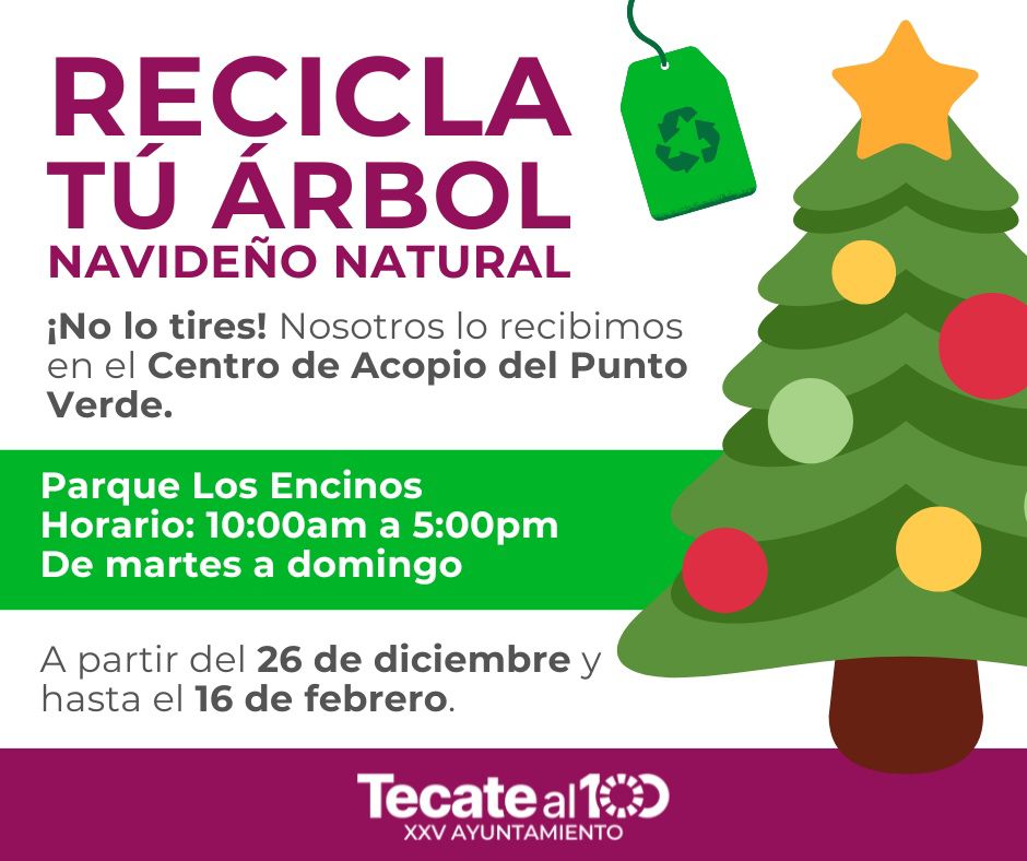 Gobierno de Tecate inicia programa de reciclaje de árboles navideños