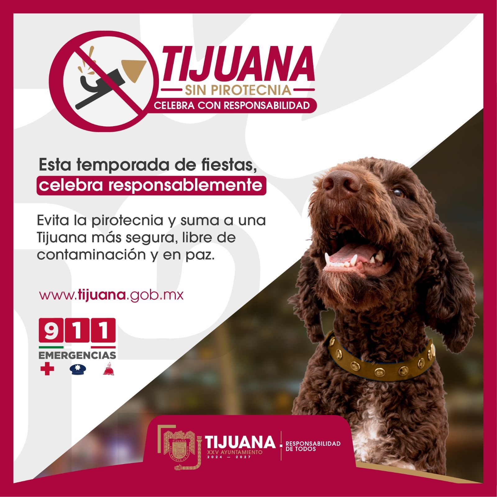 Hace XXV Ayuntamiento de Tijuana llamado a cuidar a las mascotas evitando la pirotecnia