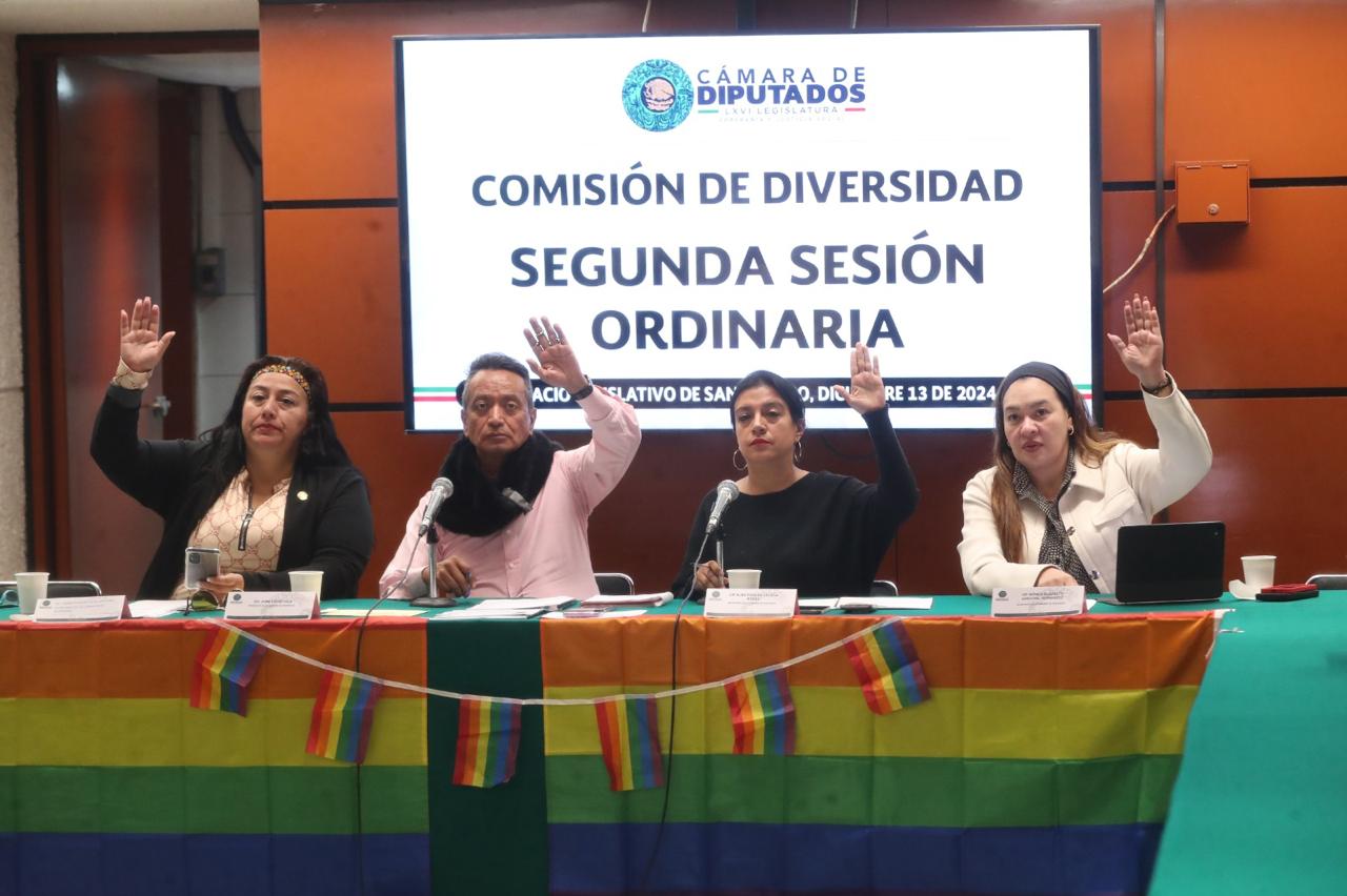 Comisión aprobó crear grupo de trabajo que impulsará estrategia nacional para atender la diversidad sexual y de género