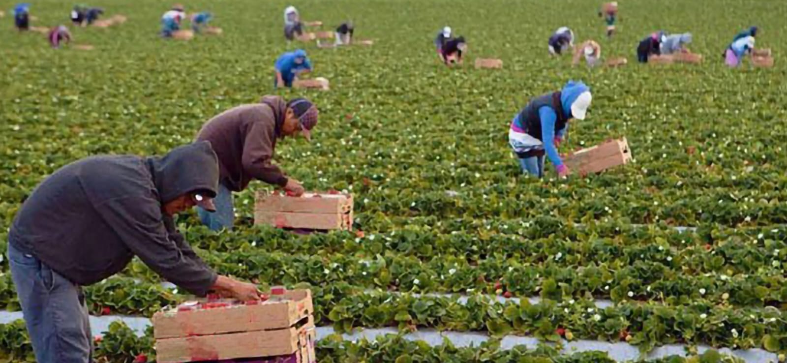 EL MILAGRO DE BAJA BUSCA ACUERDOS LABORALES SOSTENIBLES