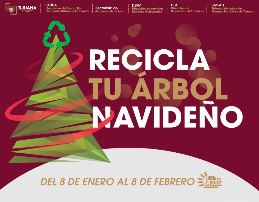 Anuncia XXVAyuntamiento de Tijuana campaña de acopio de árboles navideños